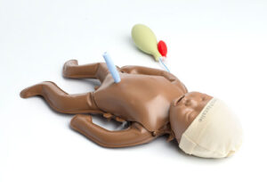 The-Natalie-Collection-6