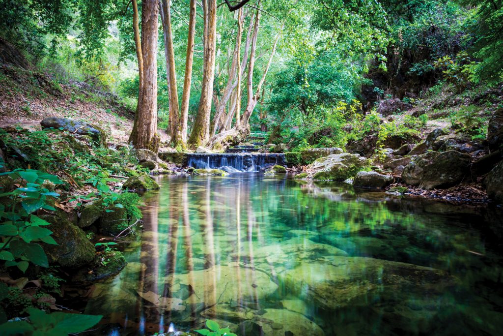 El-chuvejeshutterstock_542373715