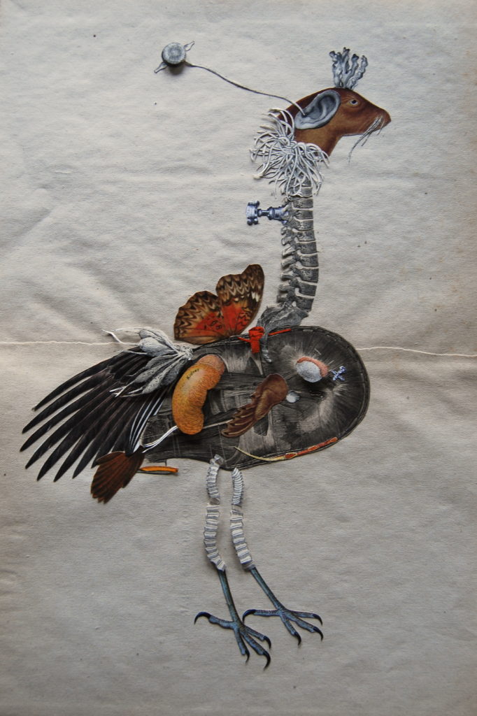 Borogove - Jabberwocky