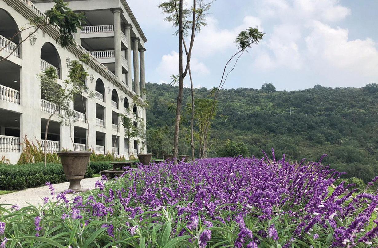 PHOTO-2018-10-08-12-17-31