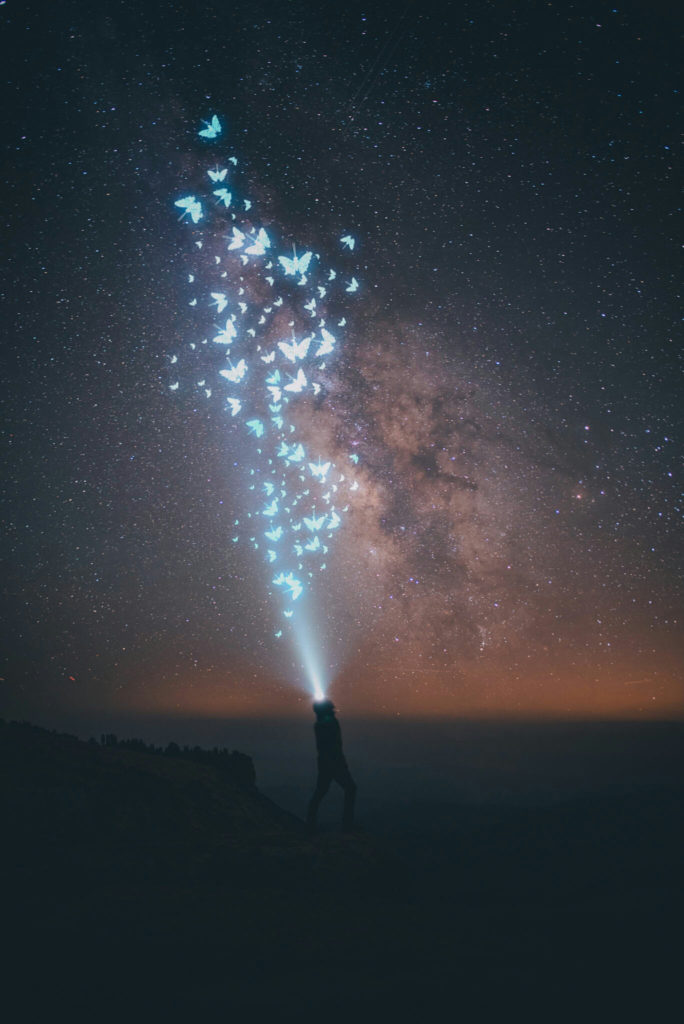 1711-2018-030974839708321501