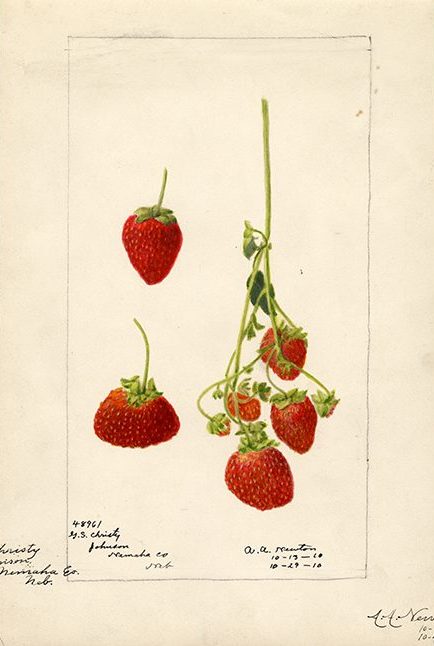POM00003952