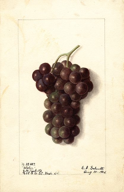 POM00005823