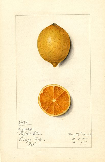 POM00006414
