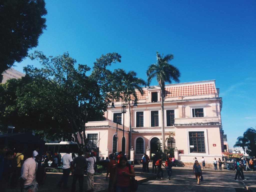 Processed with VSCO with hb2 preset