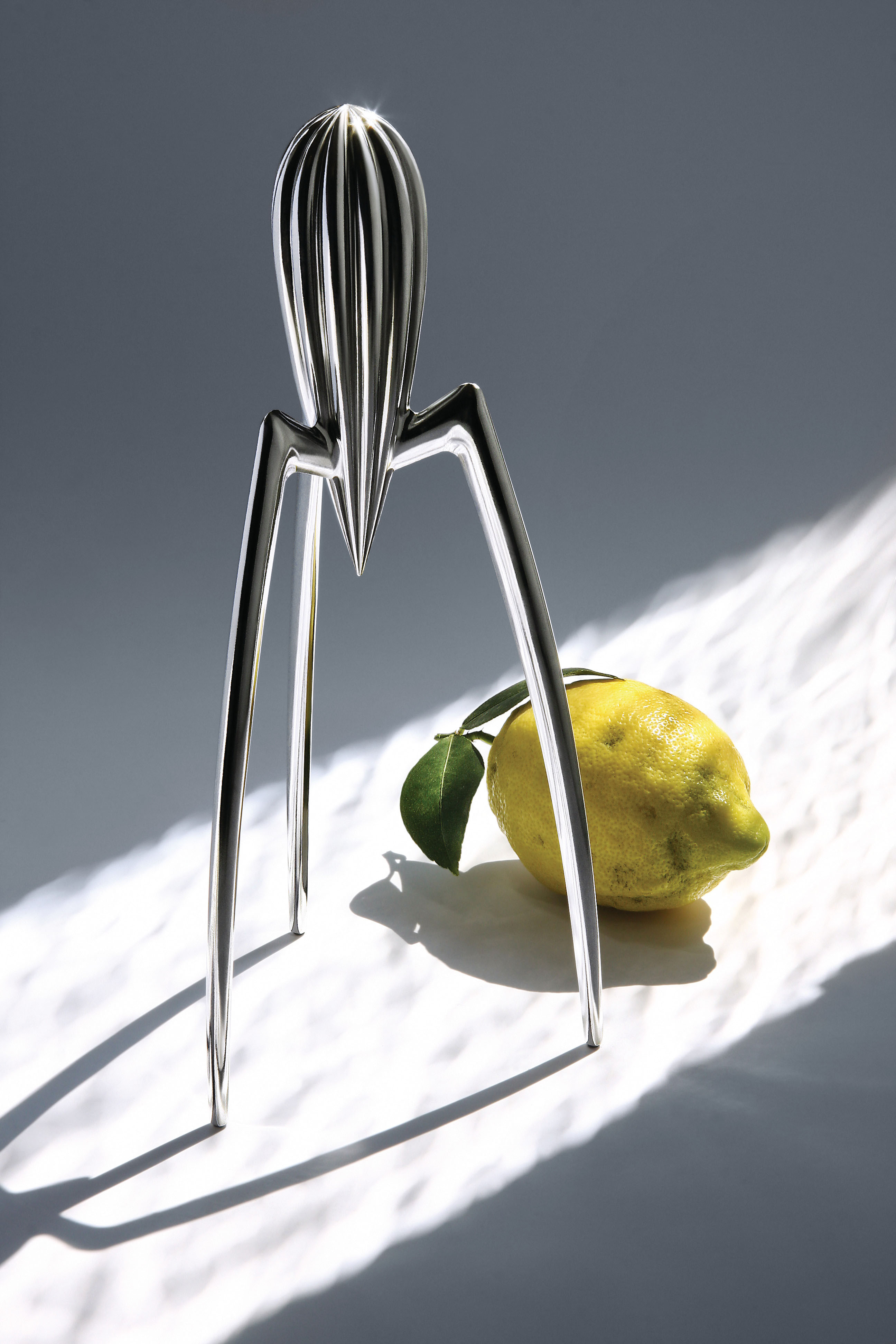 JUICY SALIF_SP copy