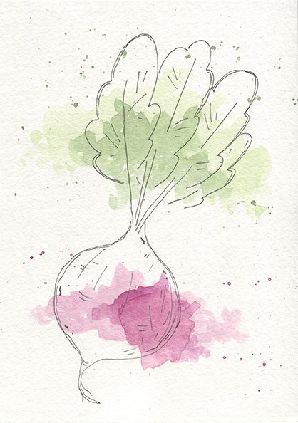 Daria_Cekiera_veggie_01 copy