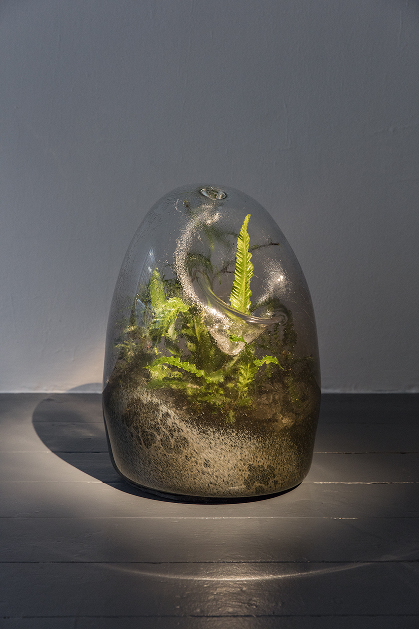 7.BiomeNo.06_2019 copy