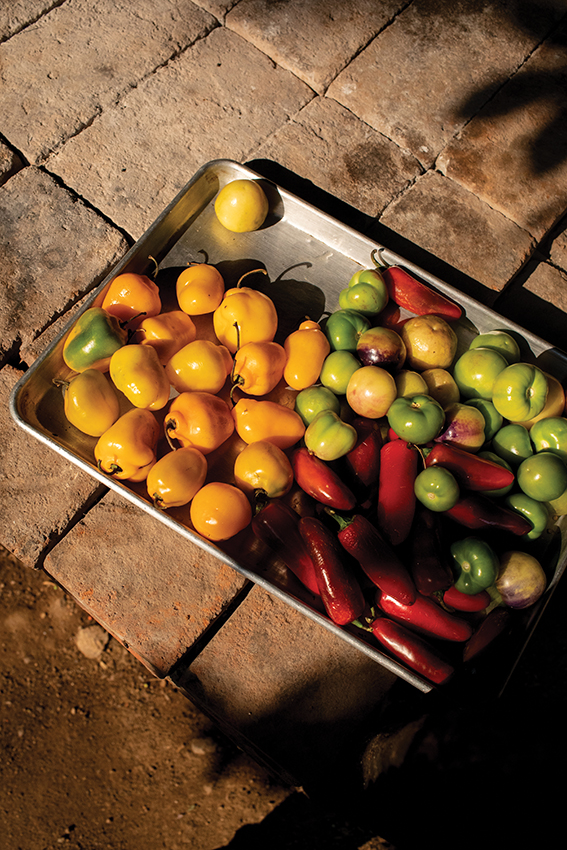 Criollo: Preparing produce to be roasted for salsa