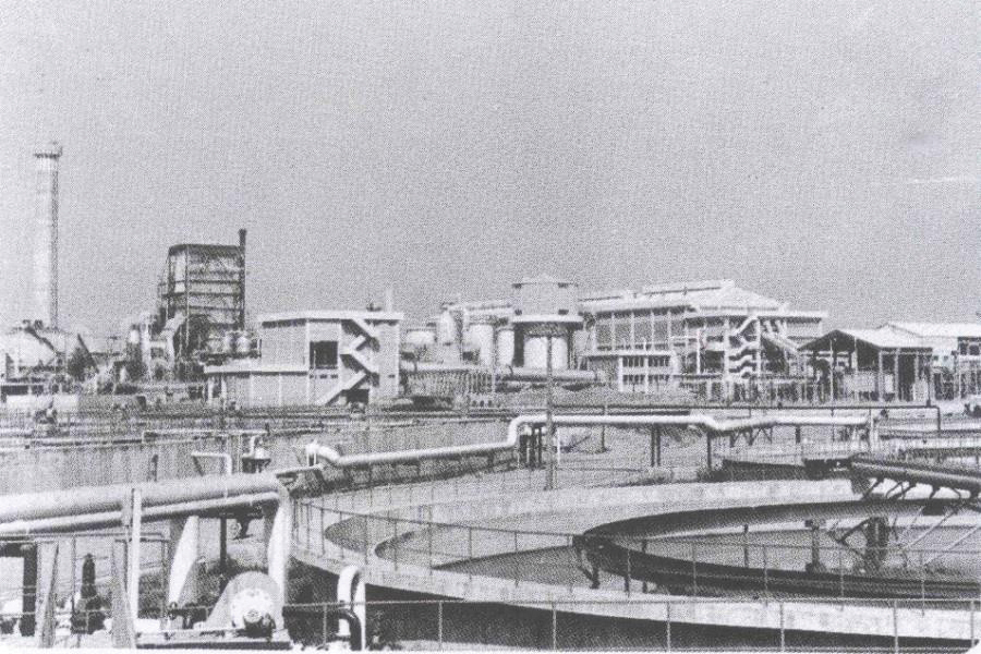 messageImage_1574310564396 copy