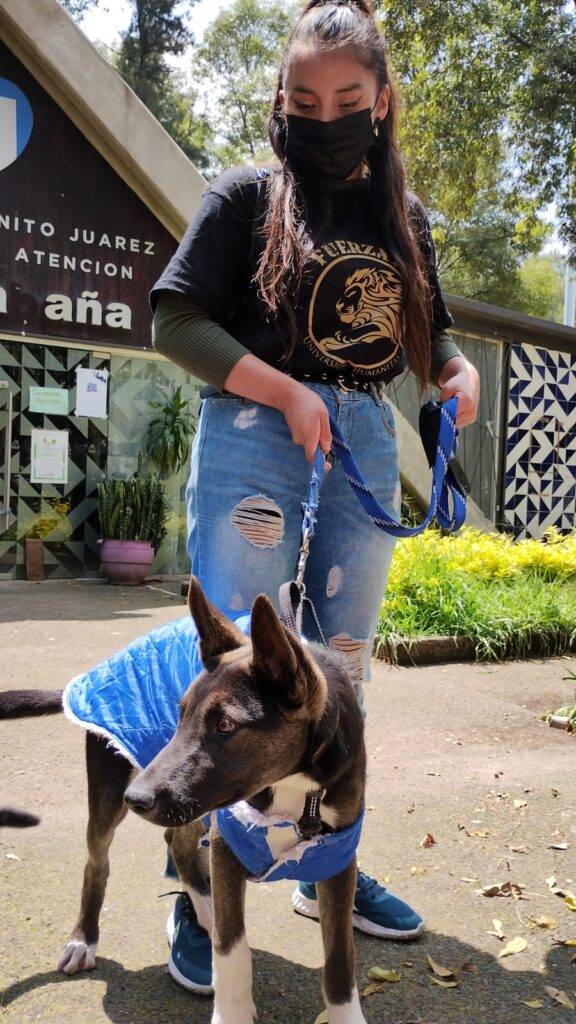 WhatsApp Image 2022-08-01 at 3.37.24 PM (2)