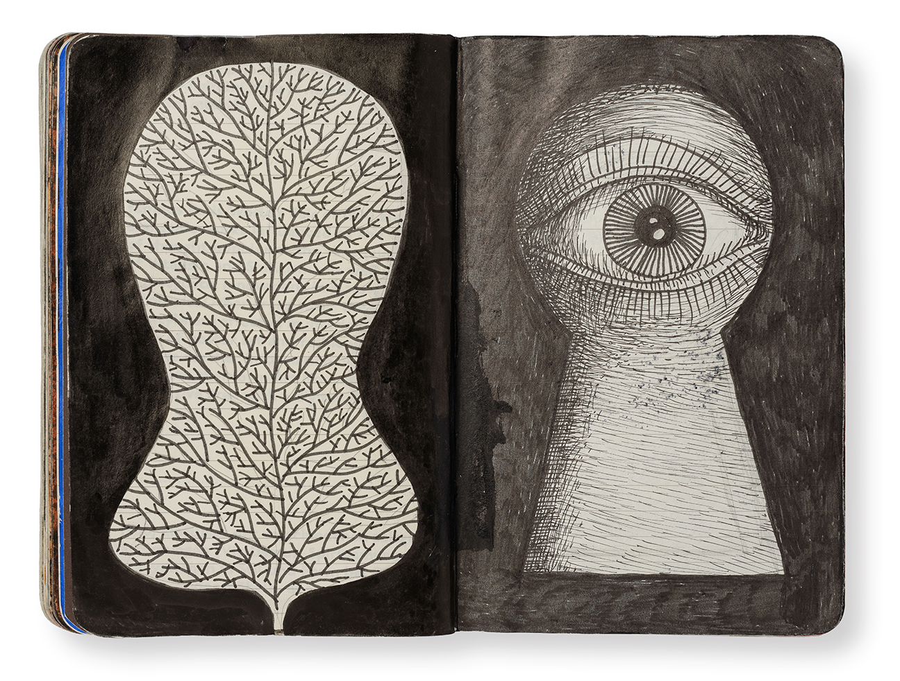 diariovisual_pepcarrio_1