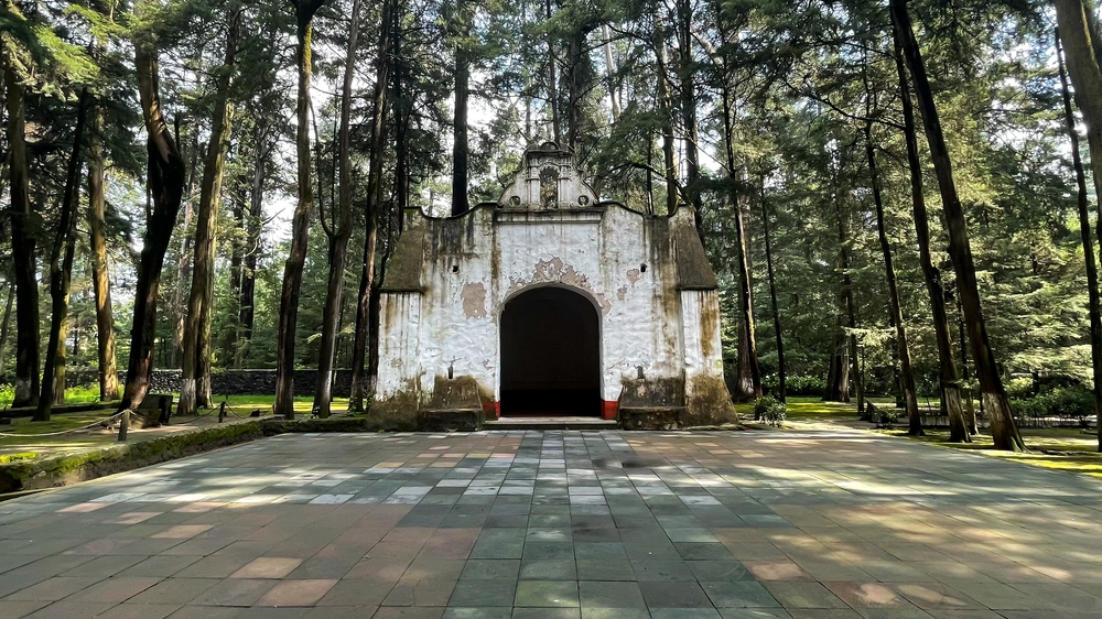 "desierto,De,Los,Leones",National,Park,Mexico,City