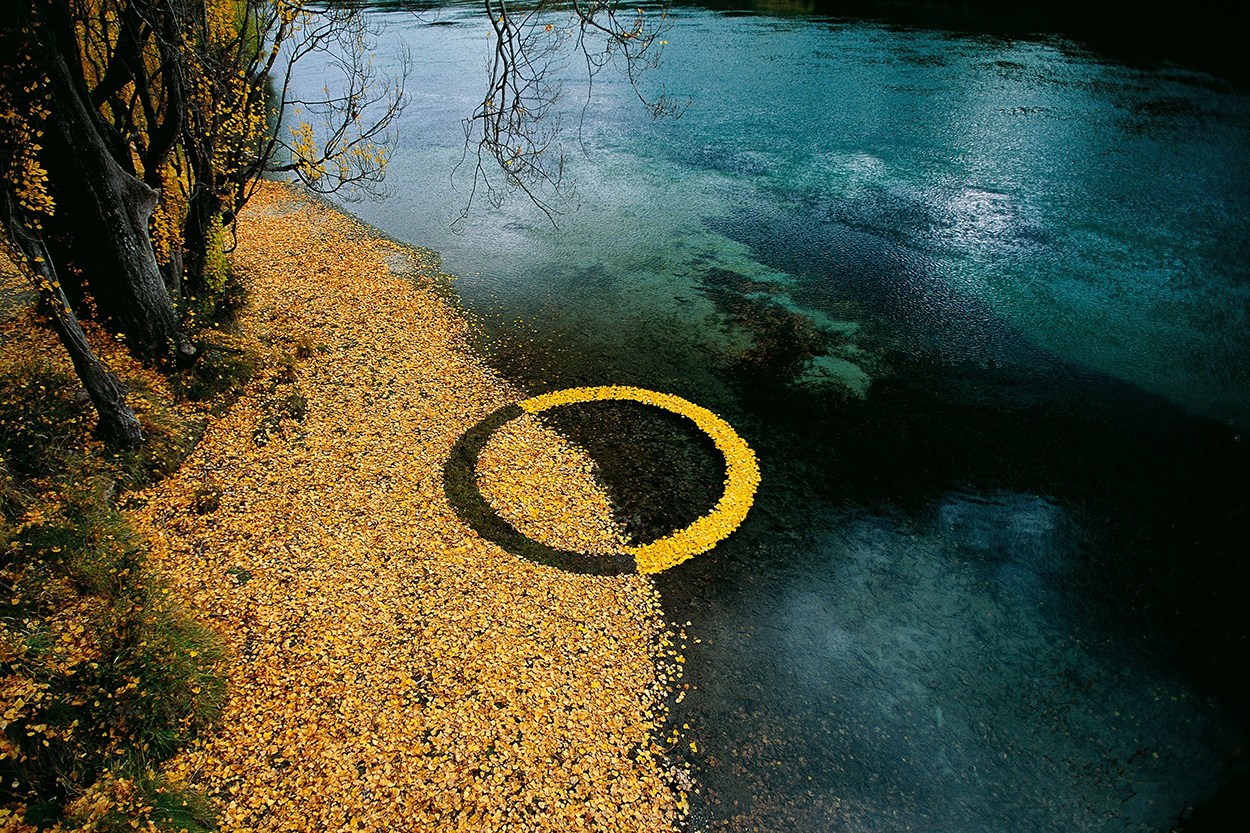 Autumn Leaf Circle JPG