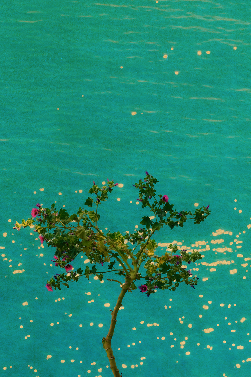 The Mouth of Krishna #905