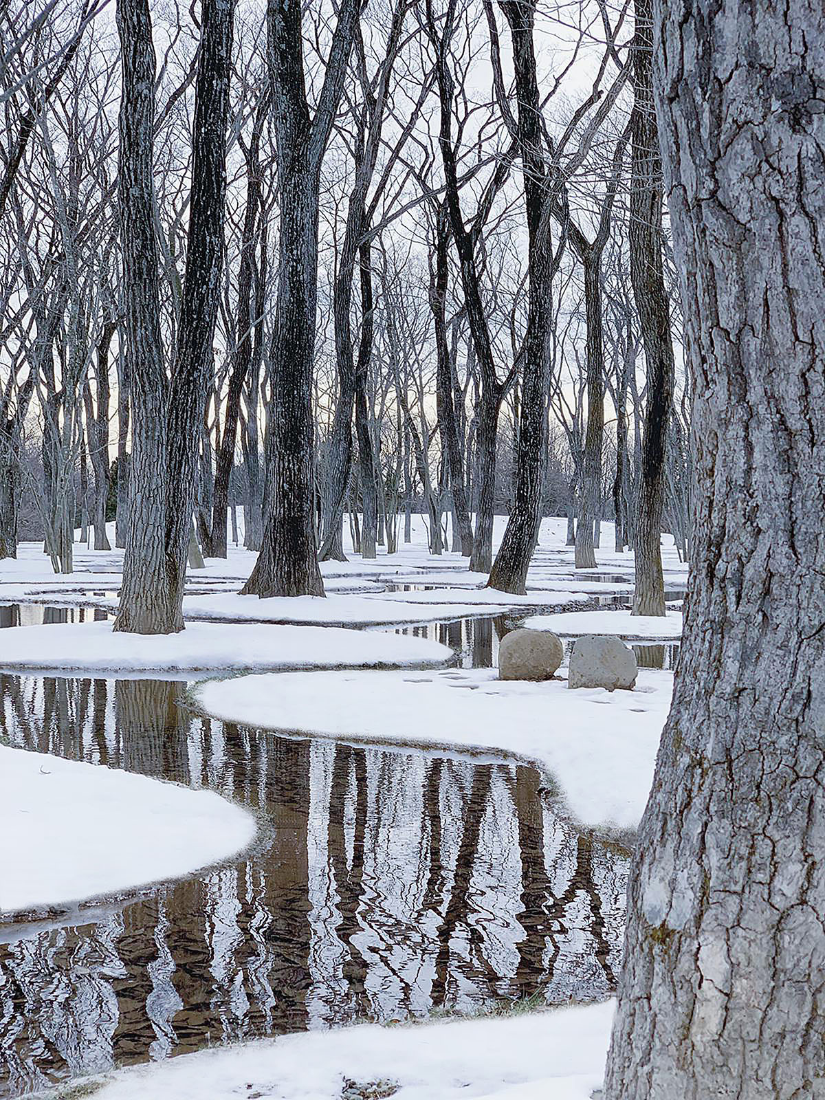 Water_garden_2_final