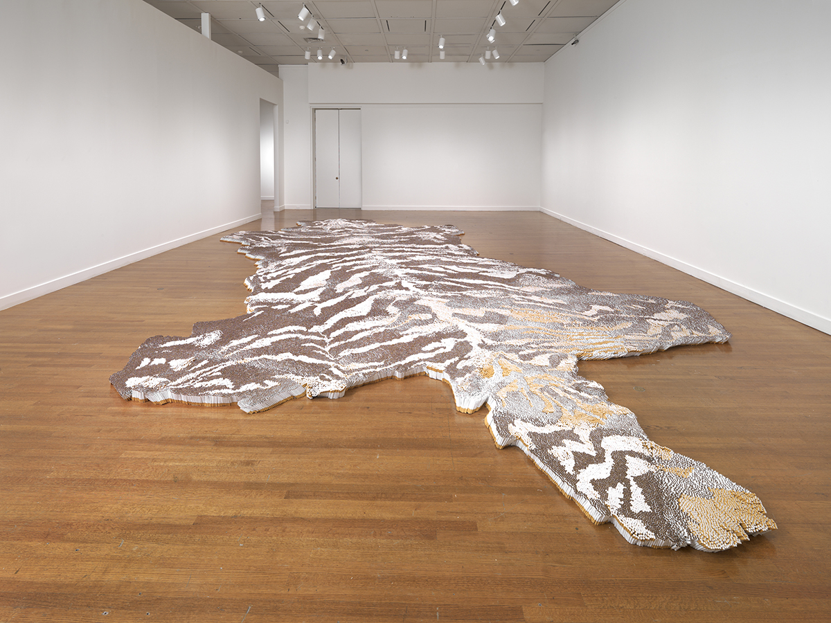 photo: Travis Fullerton ©Virginia Museum of Fine Arts