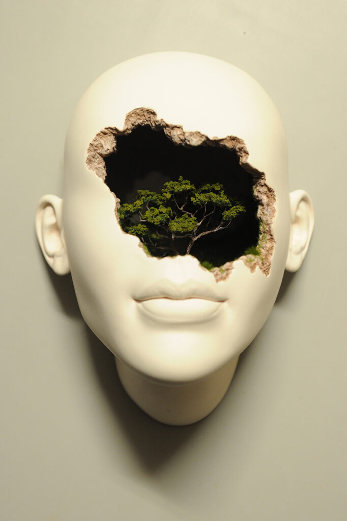 Lucid Dream II - A Place to Grow