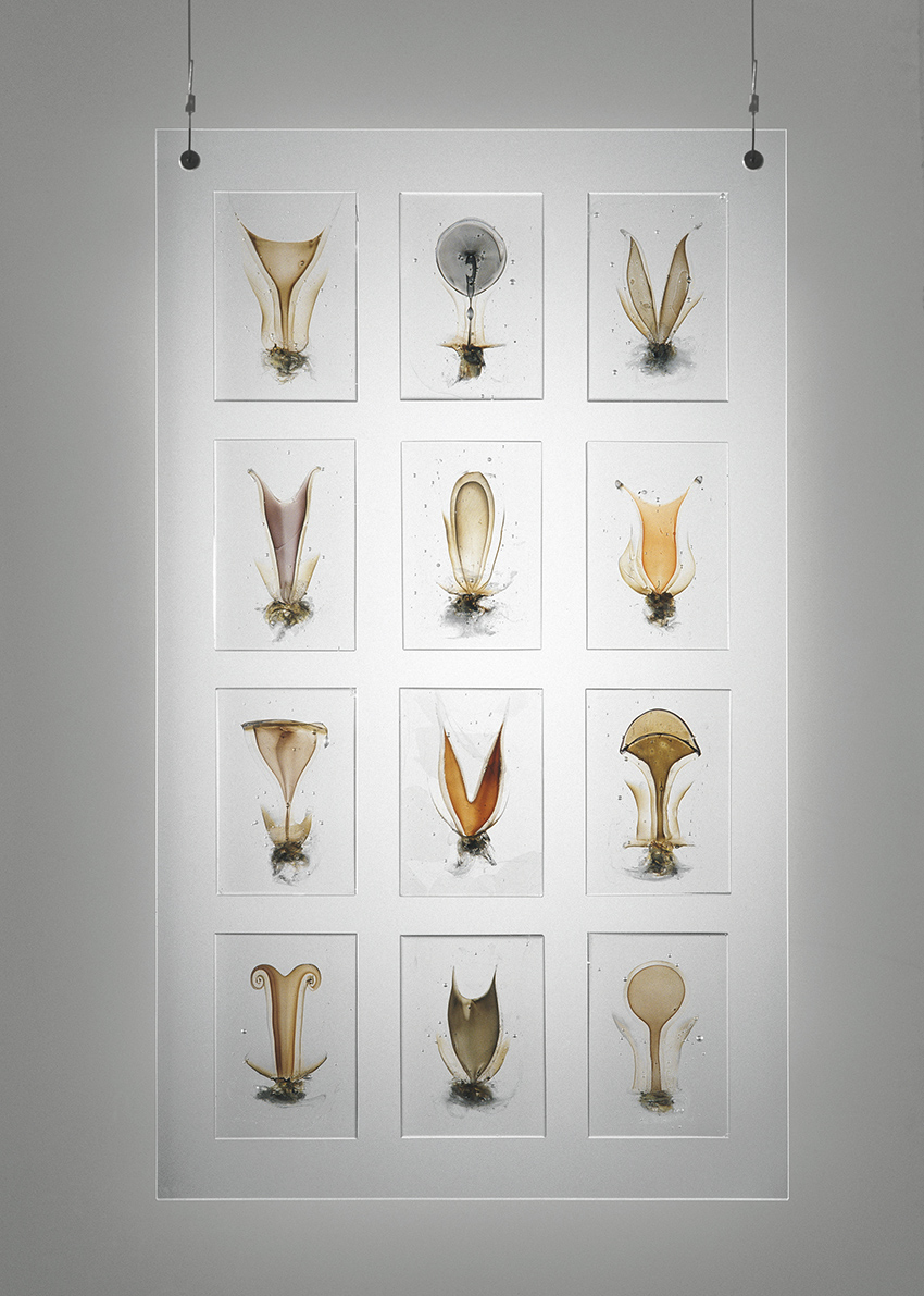 End of my garden 7.18 (Mila)