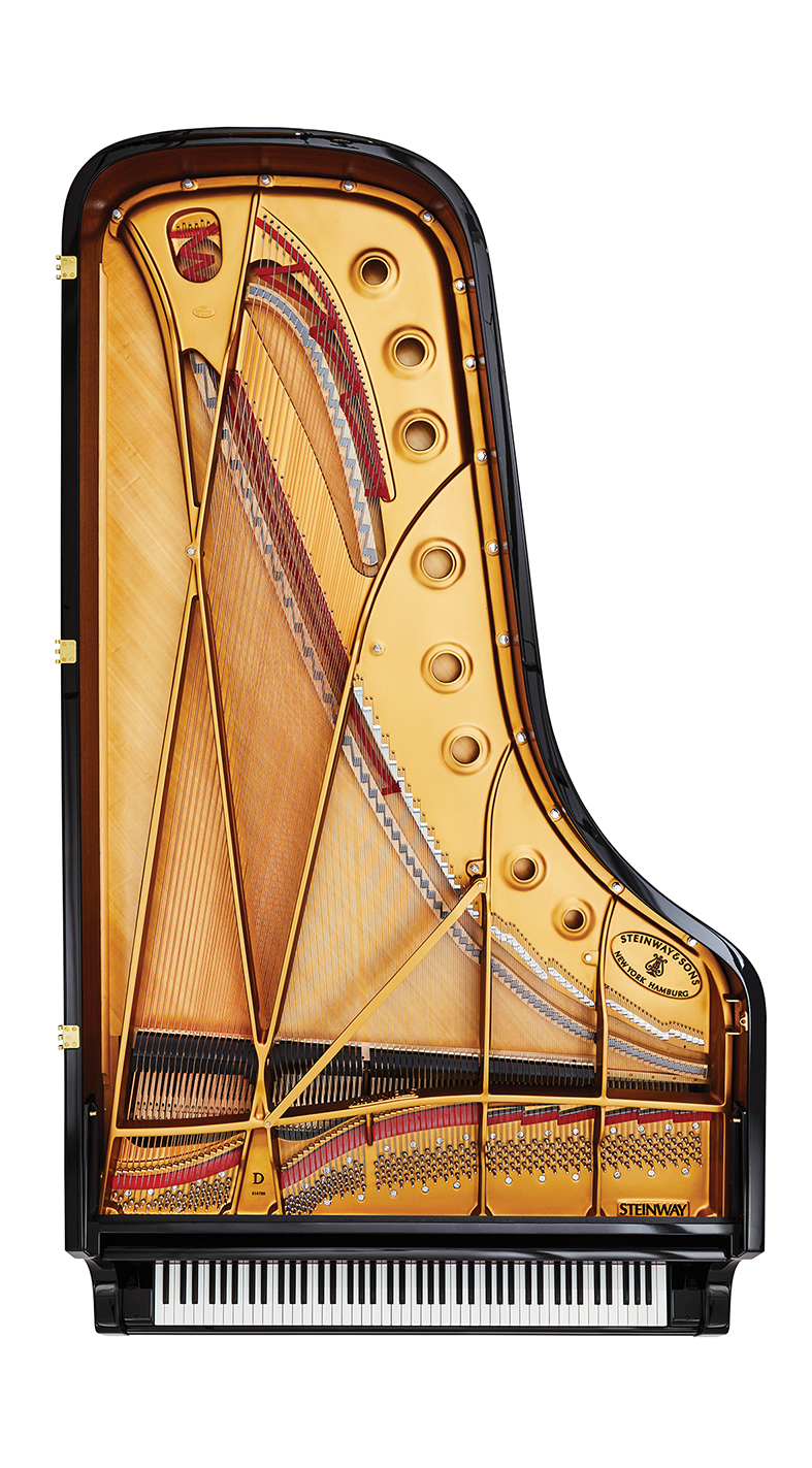 CH_Steinway_&_Sons_SP21_OVERHEAD_MODEL_D_EBONY_017