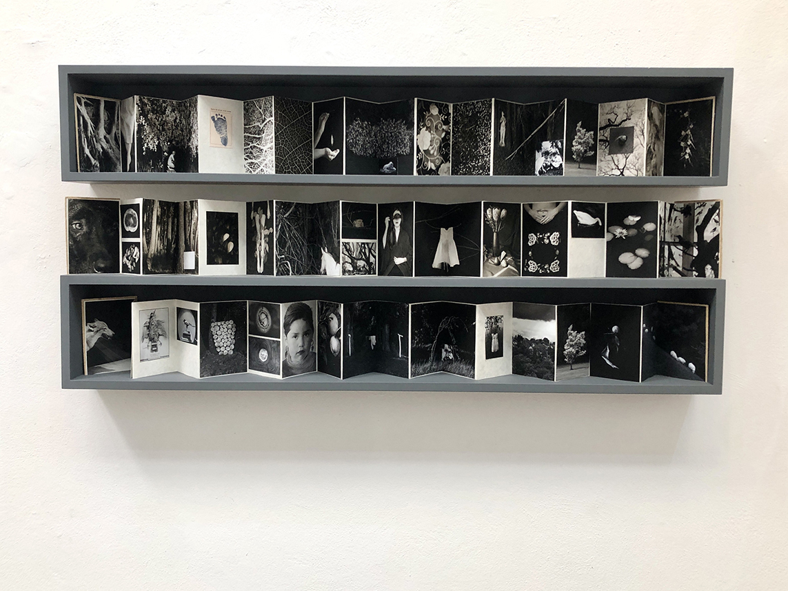 Crecí a la sombra de los árboles Cristina Kahlo _ installation shot