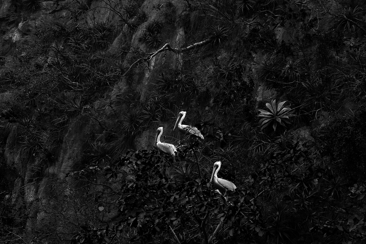 Cristina Kahlo Trío 2022 Fine art inkjet pigment print on cotton paper 45 x 60 cm (print) 61 x 77 cm (frame) Ed. 1_5