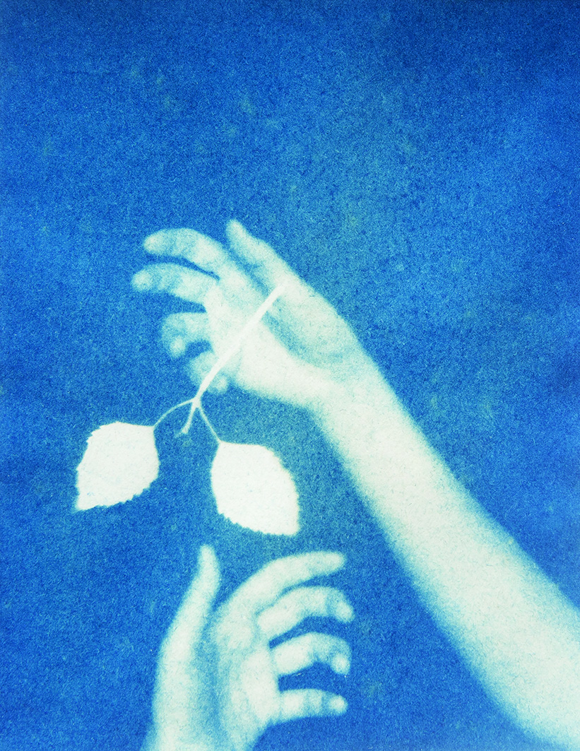 Cristina Kahlo, Untitled, 2021, Cyanotype on cotton paper 8.5 x 13 cm (print) 30 x 35.5 cm (frame) Ed. 1_1