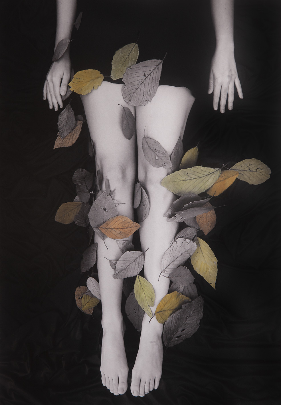 Cristina Kahlo Vuelo vegetal 2022 Fine art inkjet pigment print on cotton paper and watercolor 28 x 40 cm (print) 47 x 58 cm (frame) Ed. 1_1