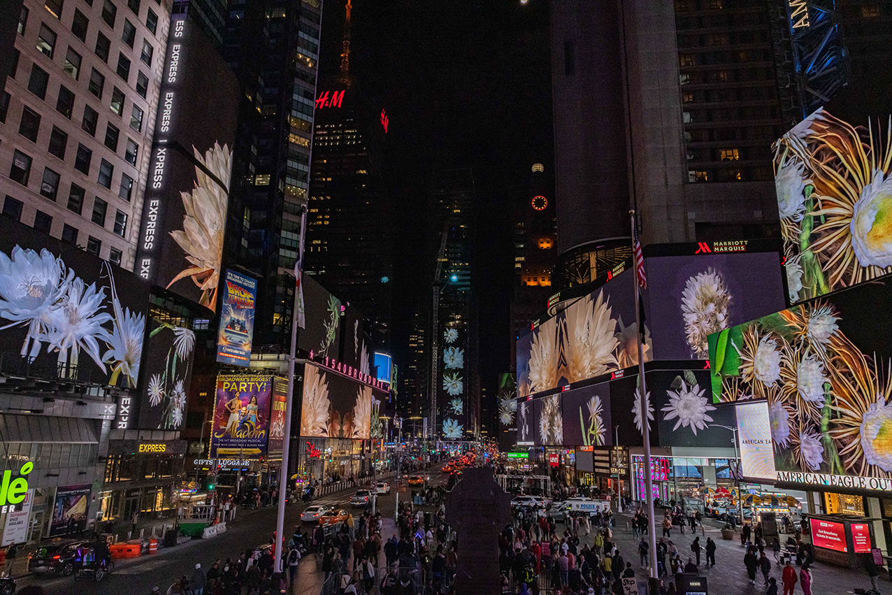 MIdnightMomentOctober-MichaelHullPhoto-295