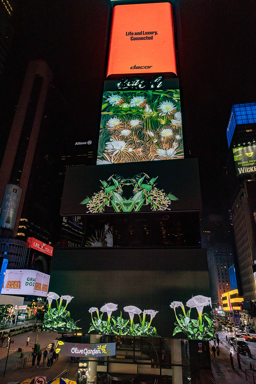 MidnightMomentOctober-MichaelHullPhoto-39