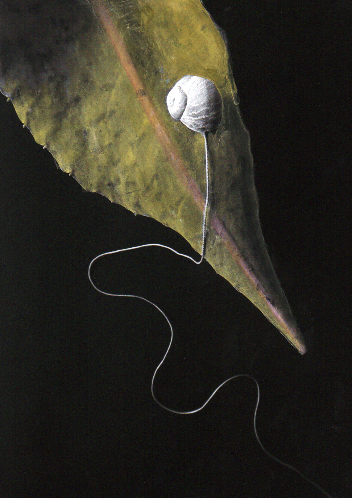 Siguiendo tu rastro Cristina Kahlo