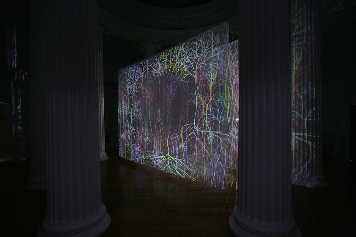 Landscapes of the Mind: Contemporary Artists Contemplate the Bra