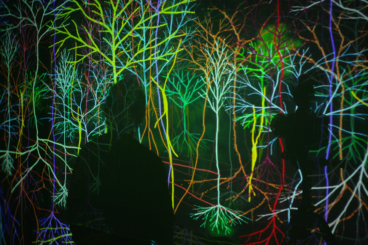 Landscapes of the Mind: Contemporary Artists Contemplate the Bra