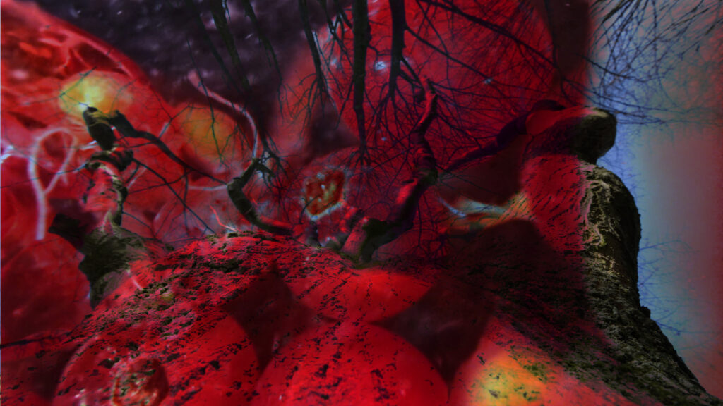 Pipilotti Rist, video still, 2024. Courtesy the artist