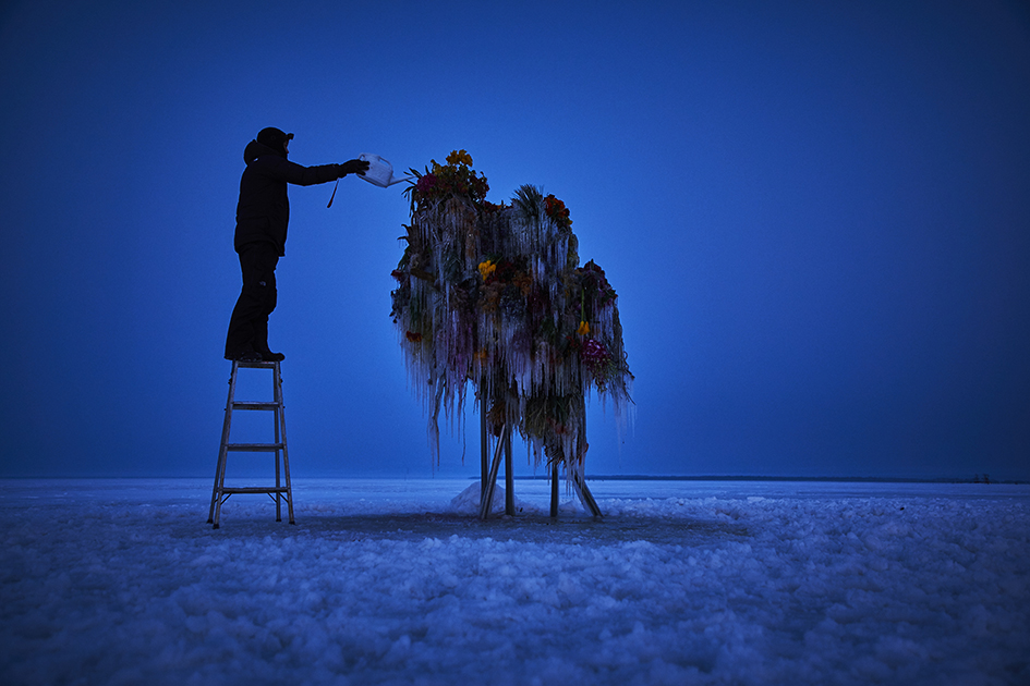 frozenflower04