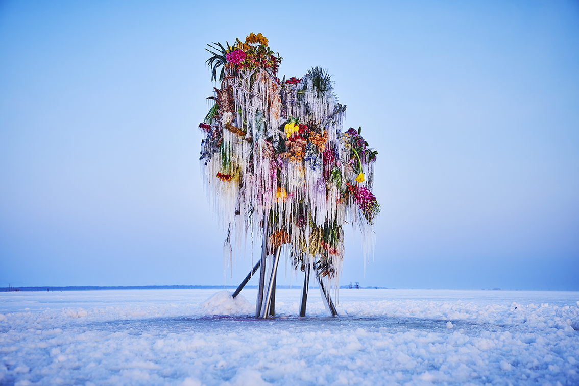 frozenflower05