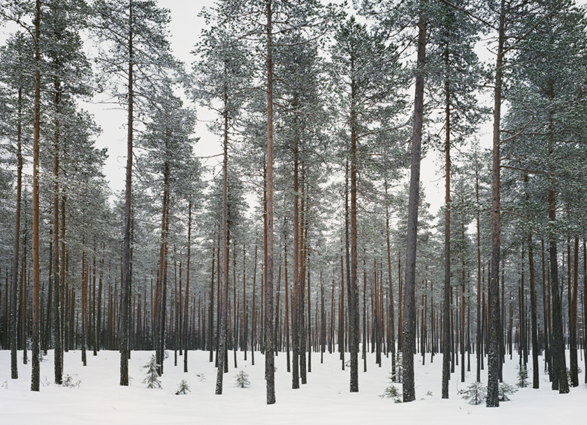 White Arkitekter_B1 copy