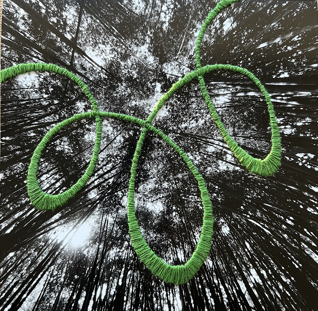 Cañaveral verde bordado a mano sobre fotografía propia 20x20cm 2023