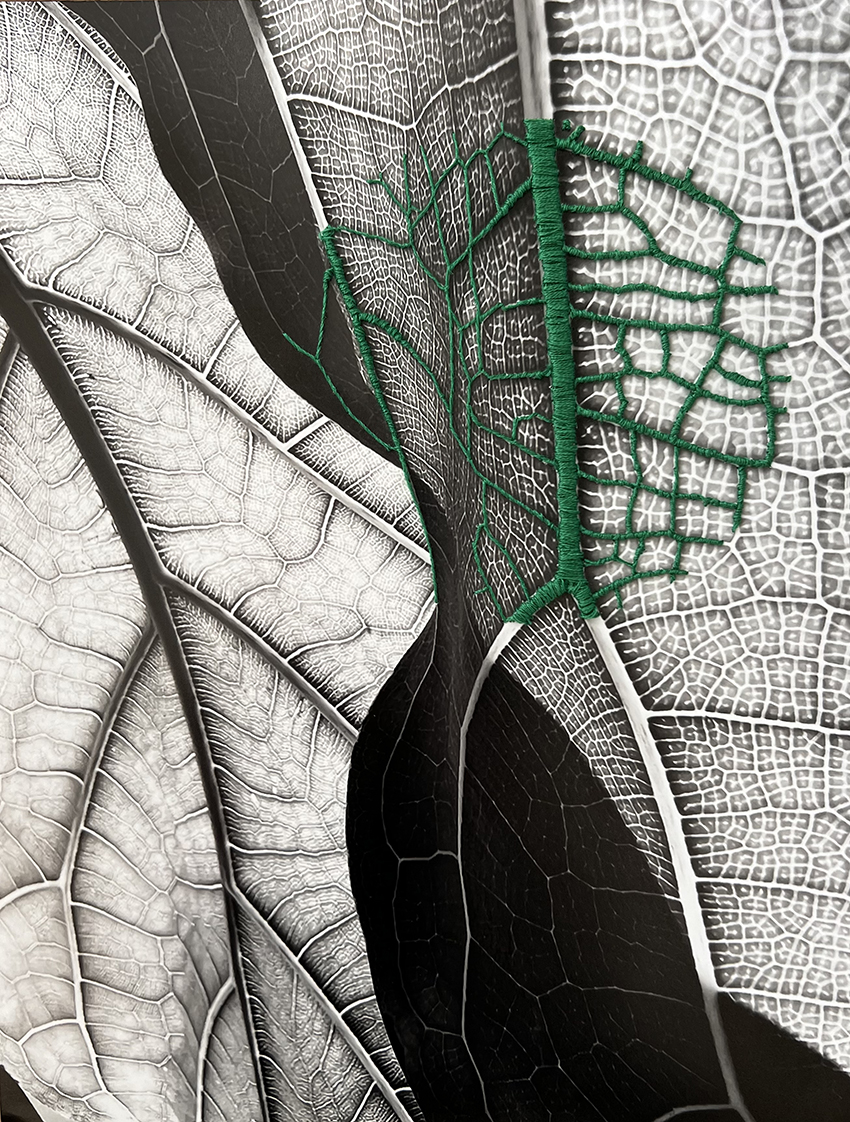 Mapa Interior verde 33x 25 cm 2023